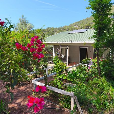 Gelidonia Fenerium Holiday Home Antalya Extérieur photo