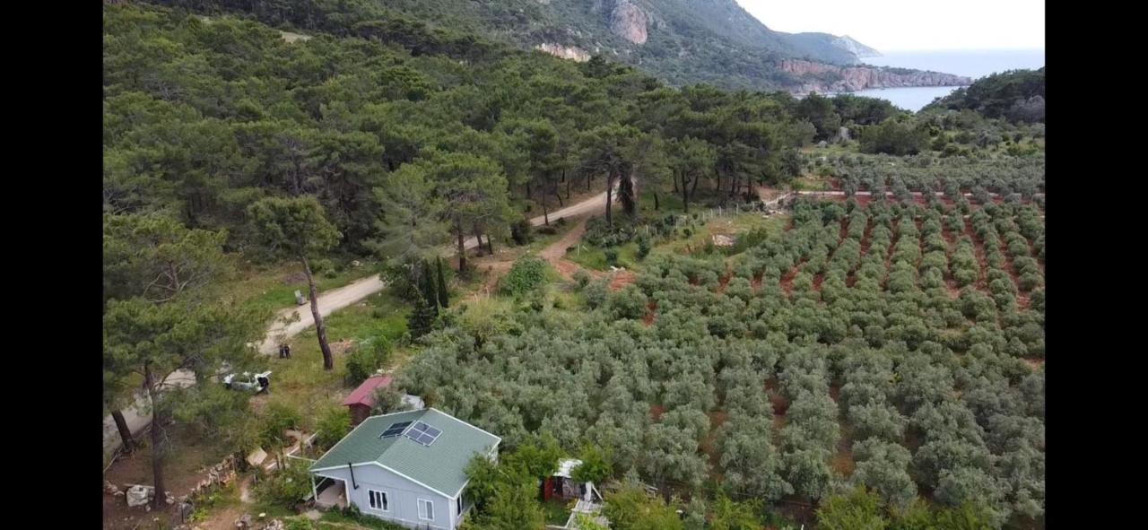 Gelidonia Fenerium Holiday Home Antalya Extérieur photo
