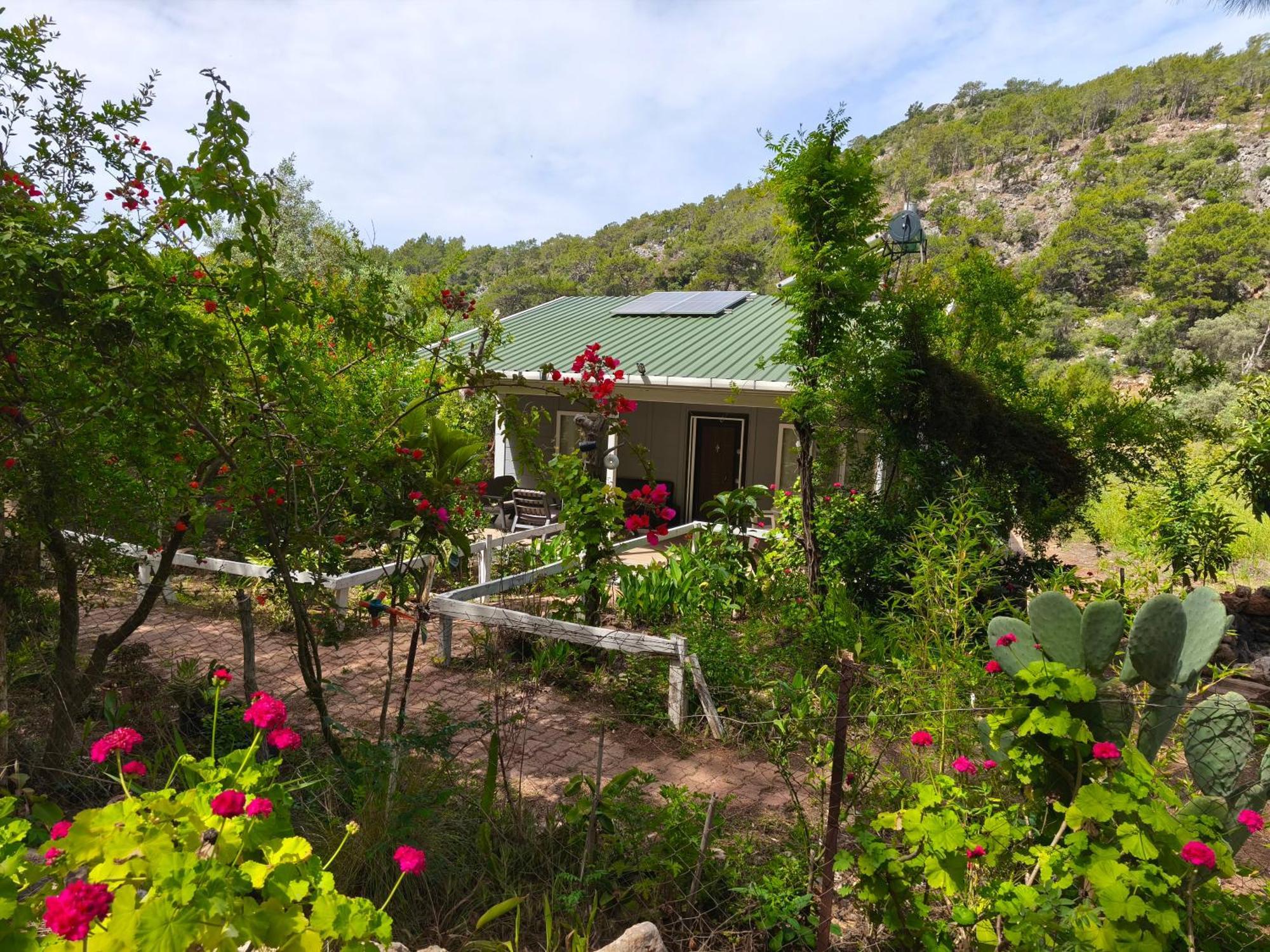 Gelidonia Fenerium Holiday Home Antalya Extérieur photo
