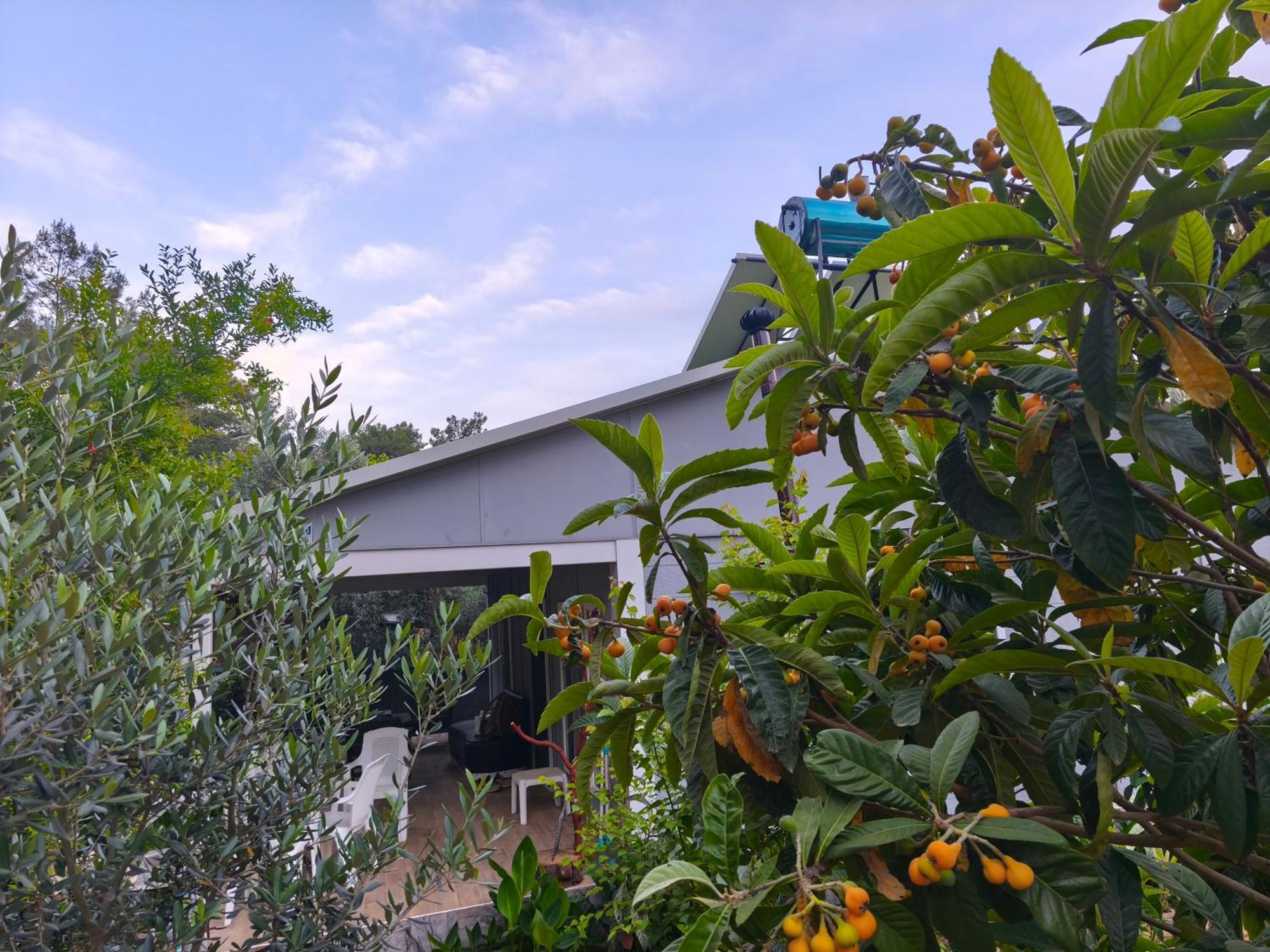 Gelidonia Fenerium Holiday Home Antalya Extérieur photo