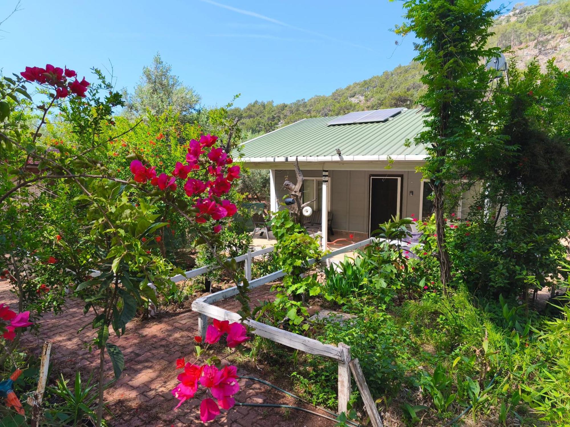 Gelidonia Fenerium Holiday Home Antalya Extérieur photo